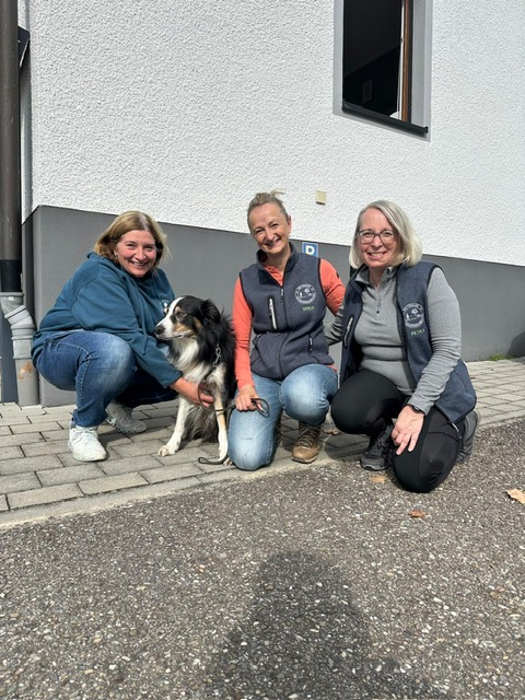 0761098e-16f1-4959-8451-353ee92768cb