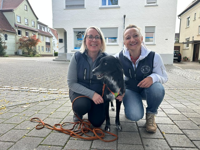 0a977a42-890f-4c29-a0d3-ab6469226ffd