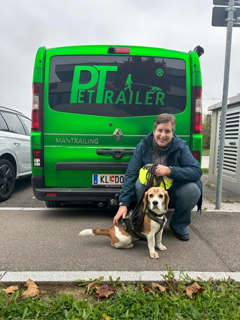 1056311d-ea95-43e4-90ed-f7007196403a