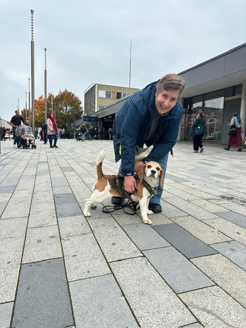 27d501ea-ed5a-4546-a72e-85af78e254fd