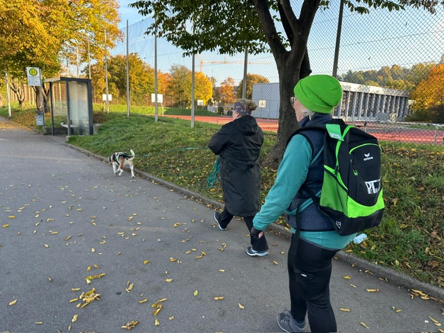 30336647-9db5-4792-a2ec-9e50d1e0805f