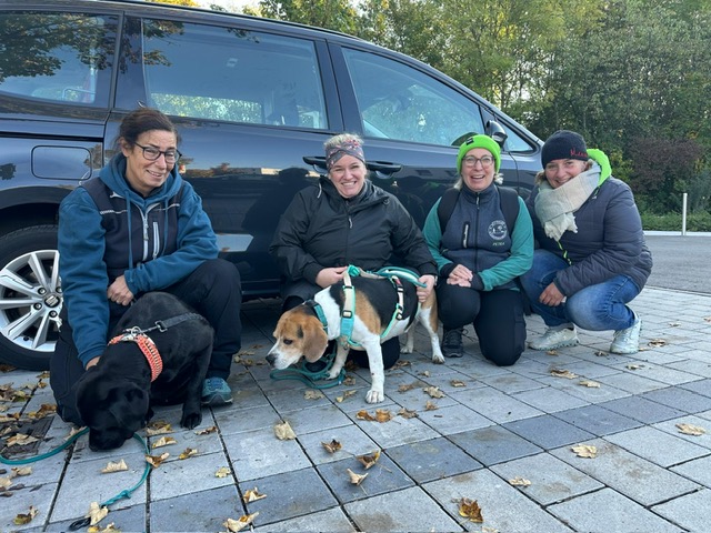 3ac3b6ac-3c89-4743-b62c-e40639e8c816