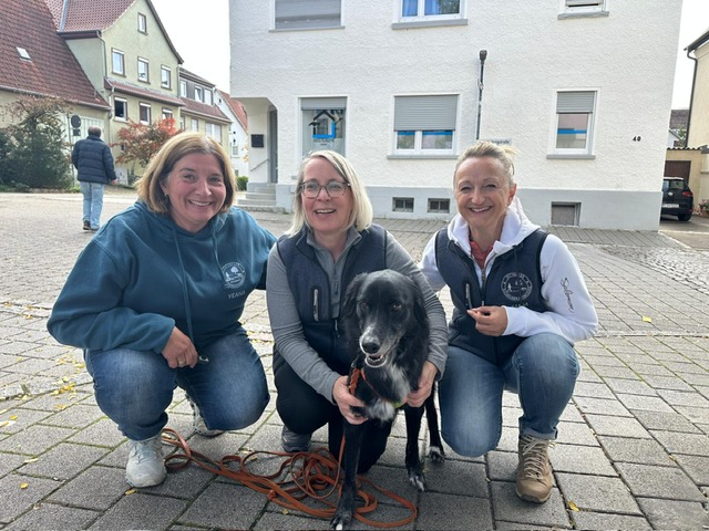 3d6a0c21-8d0e-4504-b5a3-5c047fa1ec39