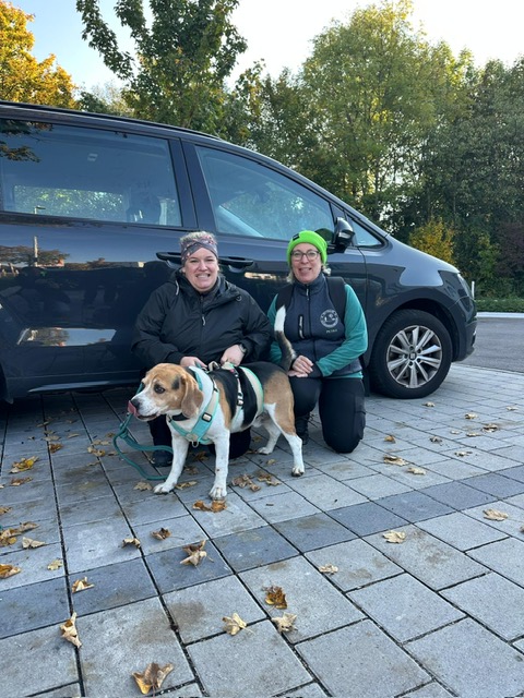 3f7074d3-c9da-4d75-9871-2ead46168498