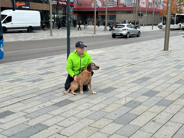 91390561-9250-41c6-afcb-446d47a0a96c