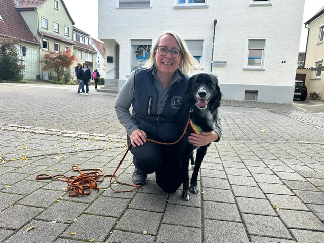 ae89608f-5553-4712-991b-22f78a436bc8