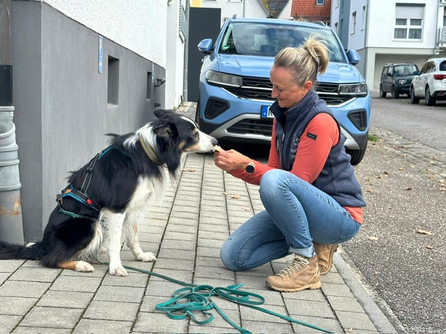 b7590ad0-ef06-49f3-9010-9f6110c040e1