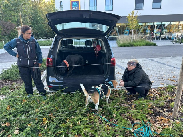 b9083be8-77ec-4baf-bfa1-0ba4d174e8b1