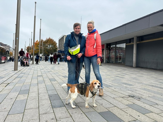 bb2add89-faf8-4bd6-892e-75fa1c795c1c