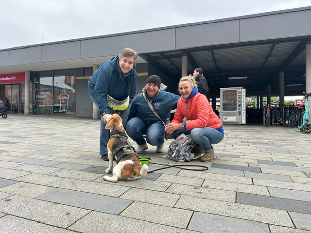 e338e515-f6f8-45fb-8d77-c266dafde15e