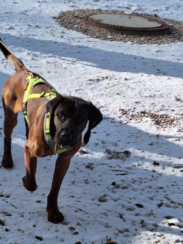 63dae4b4-e71e-40a2-b65b-c2cce3d426e3