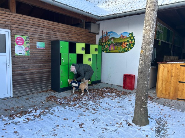 91e02b84-d414-436f-aa62-53707444808a