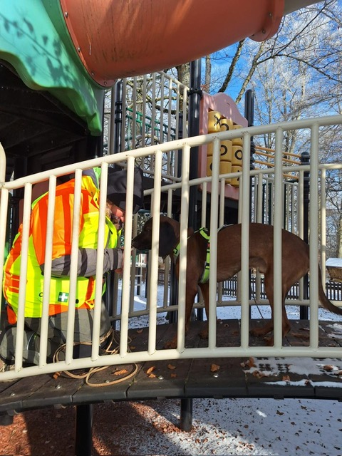 e459204e-881a-432b-9fa1-7e783f02f267