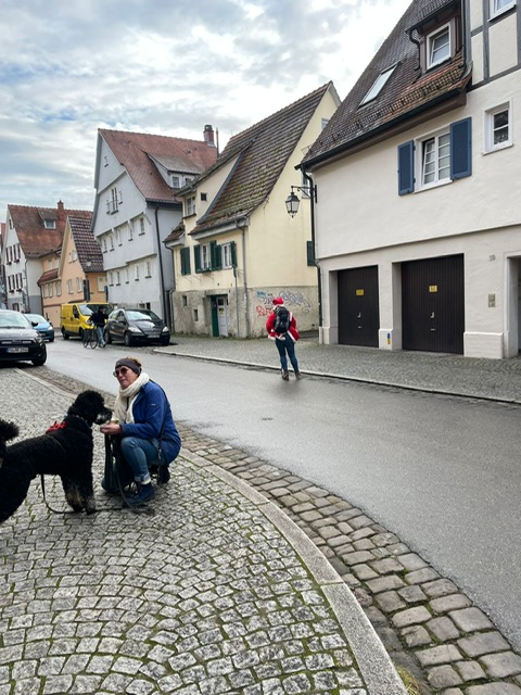 87bec144-1670-4276-b01f-31fbb5bc53cf