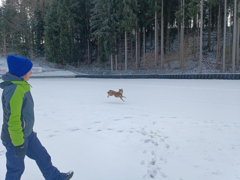 IMG_20251231_133318_1