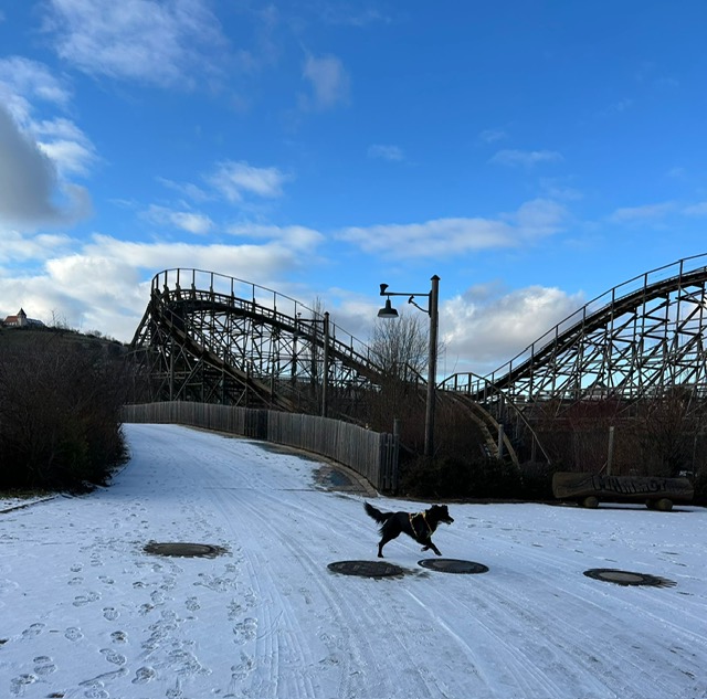 23218986-3669-499F-99A0-95455F12C442