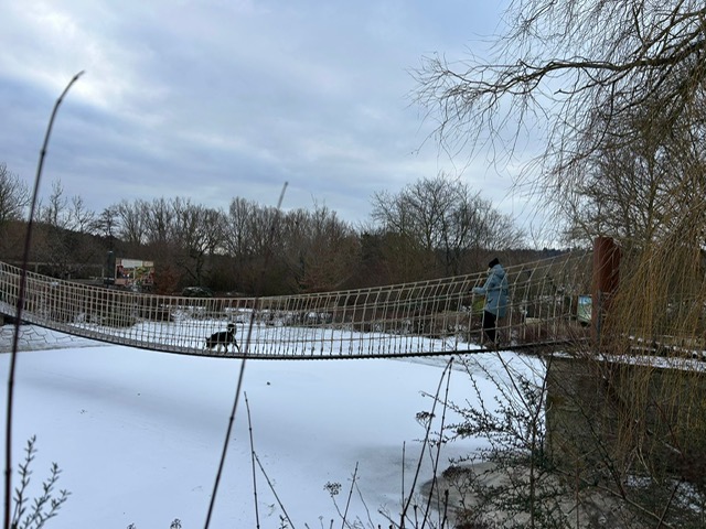 A9893C83-EF7B-4E6E-B180-E02AC607C43B