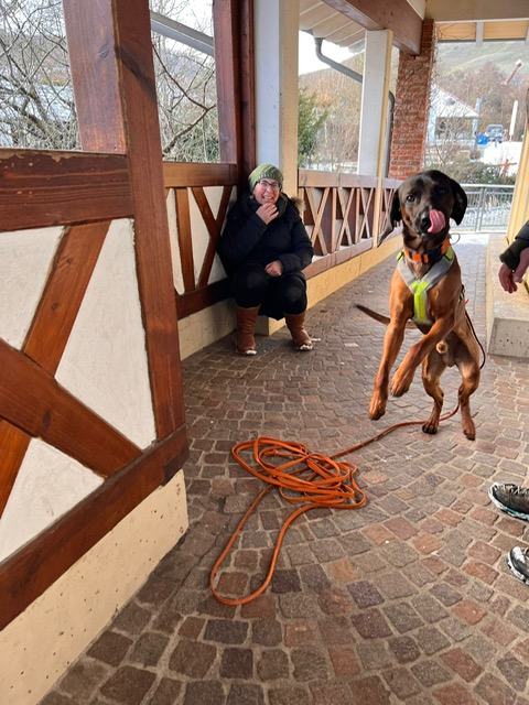 d0a0fdc8-48ae-4627-867d-c74cf105494d