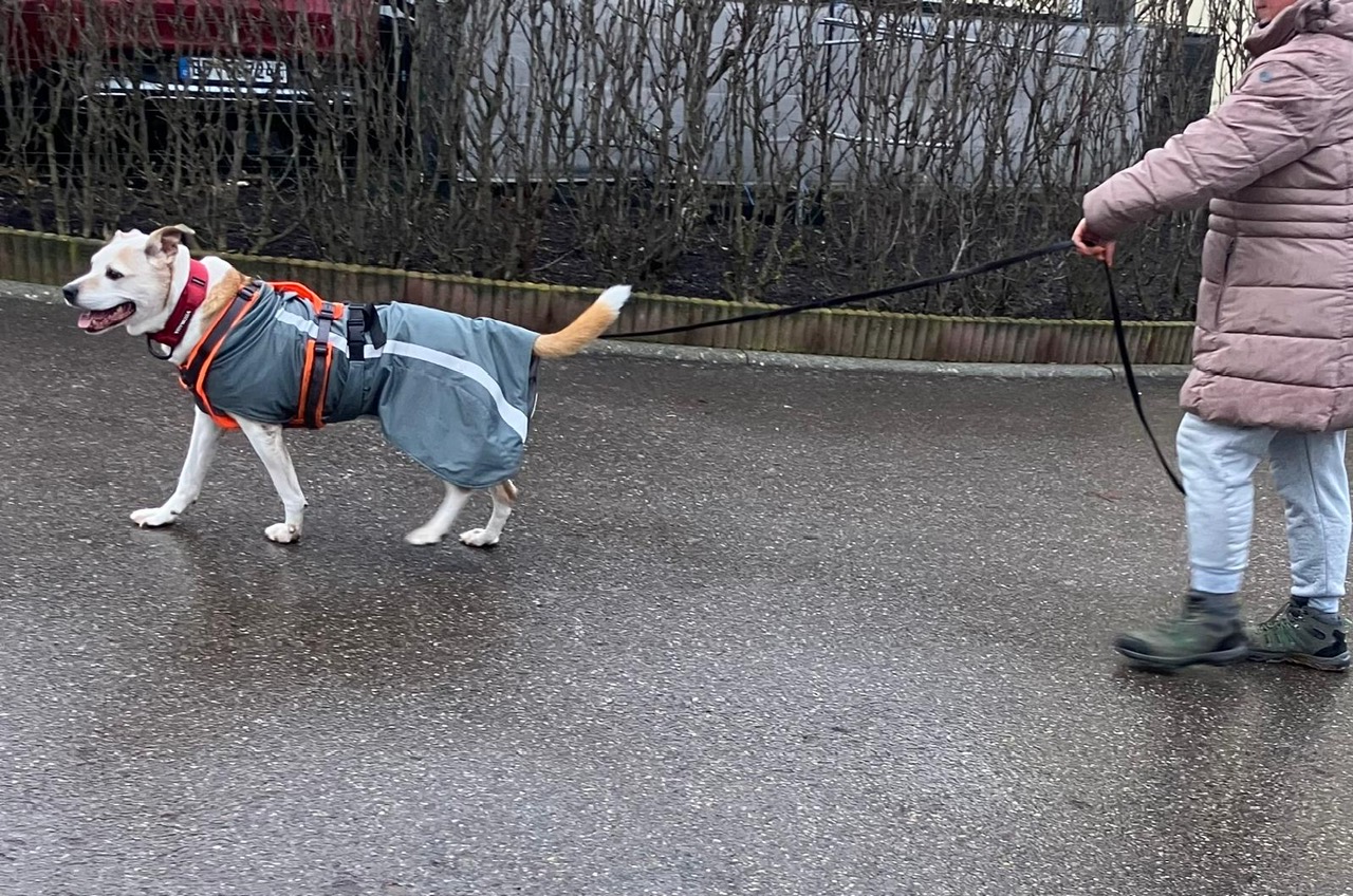 7e56b210-855d-4589-9963-403bdcc31335