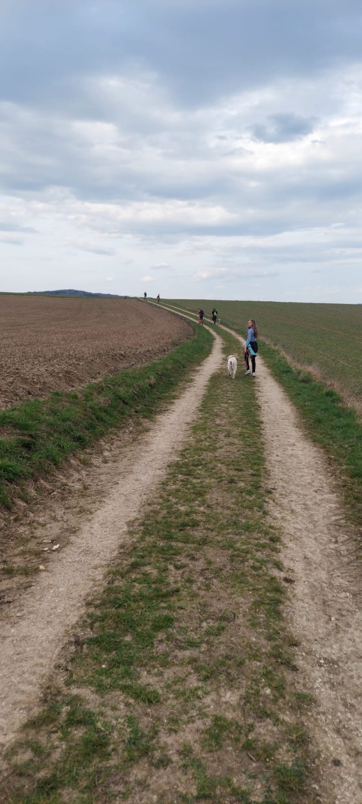 6490fe8f-14ef-4c29-a629-13f66e64f9ac