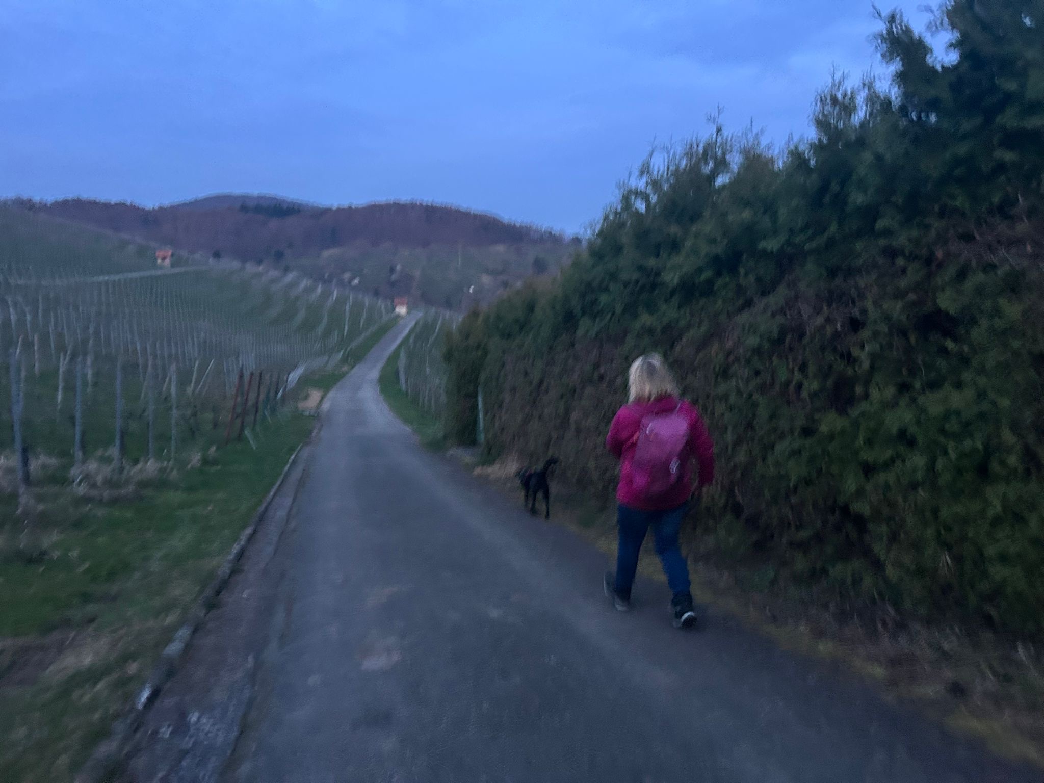 6b1af2fc-a450-4c7b-b3ec-a47a67f97c94