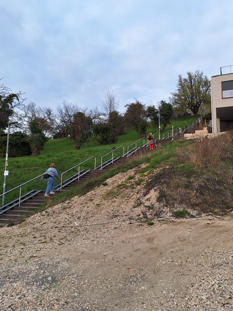 79114a7f-726d-4355-9055-e7217532bf61