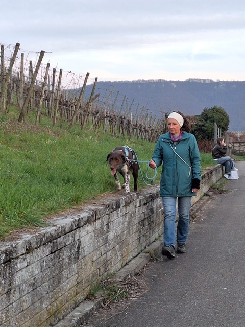 80e9390d-d1c9-45ed-91ca-e95498fbefed