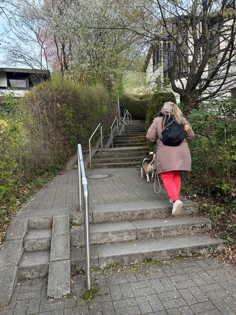 8332ce46-3b1f-4149-ba6d-27fc96bd50f9