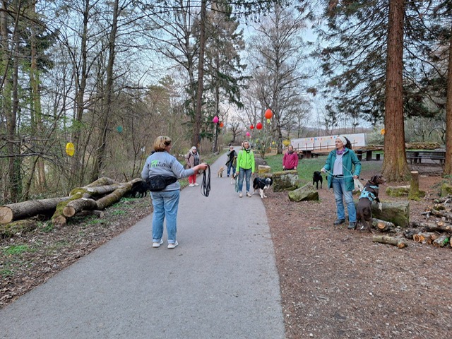 ee8bd6fc-21ba-4c87-90a8-335dd7403462