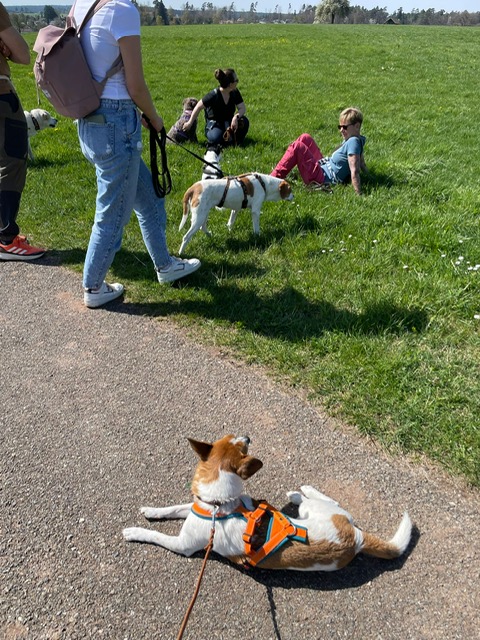 013cf77d-023a-4b4b-815e-bc7f8bf3065f