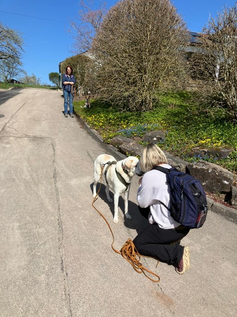 48f859e1-1bc9-4156-971b-dd8978117602