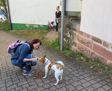 4d5b1ea6-731e-4c8b-9059-c6c12286991e