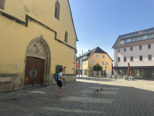 IMG_4451