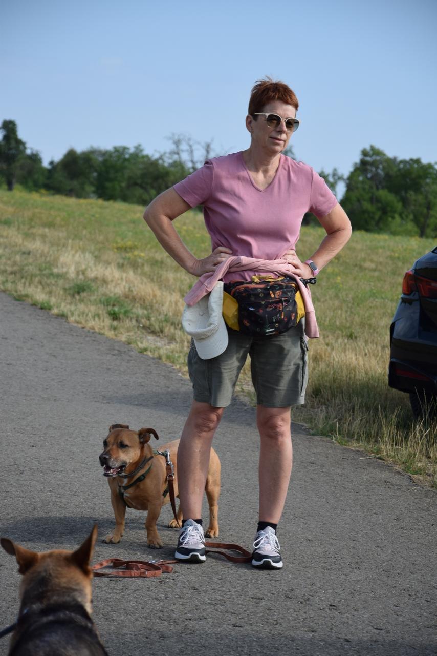 8575dba2-ee93-4f56-80bd-f0f1b41c2ea2